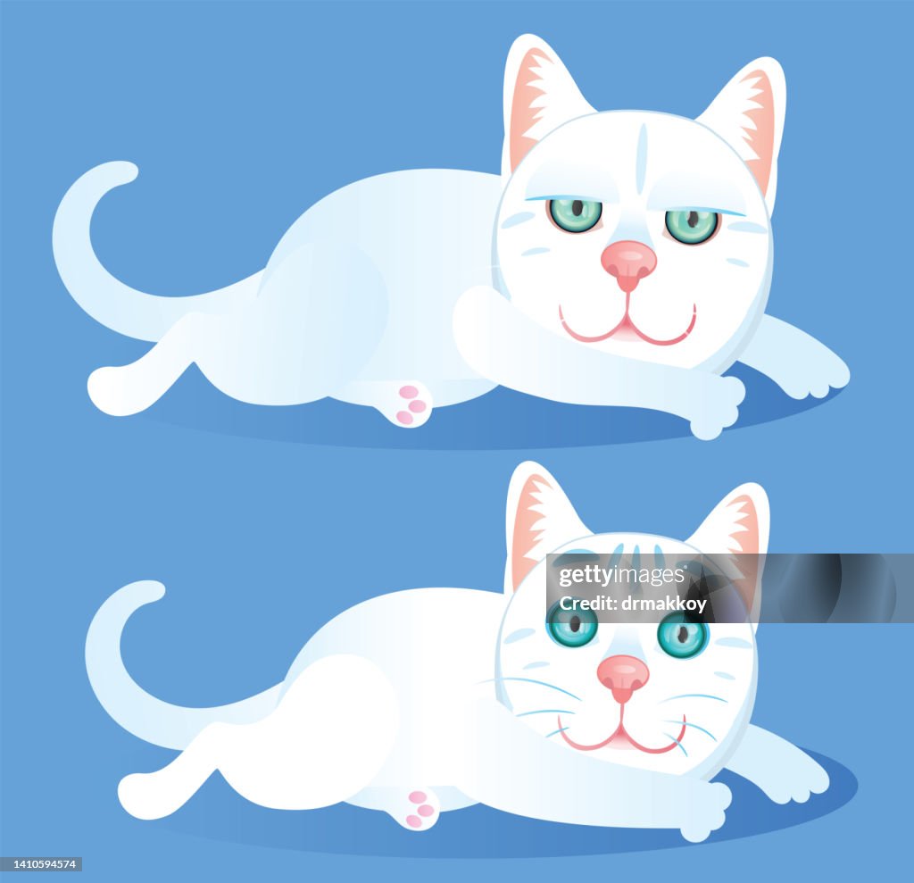 White cats