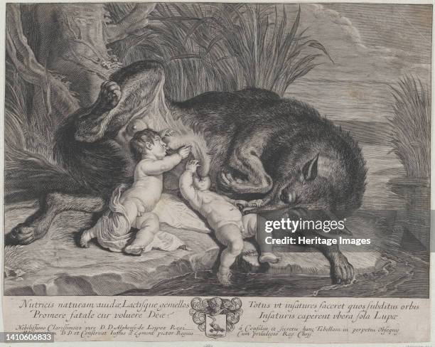 Remulo 6,164 Wolf Family Stock Photos, High-Res Pictures, and Images - Getty ...