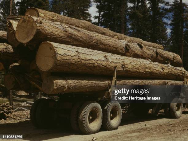 Truck load of ponderosa pine, Edward Hines Lumber Co. Operations in Malheur National Forest, Grant County, Oregon. Artist Russell Lee.