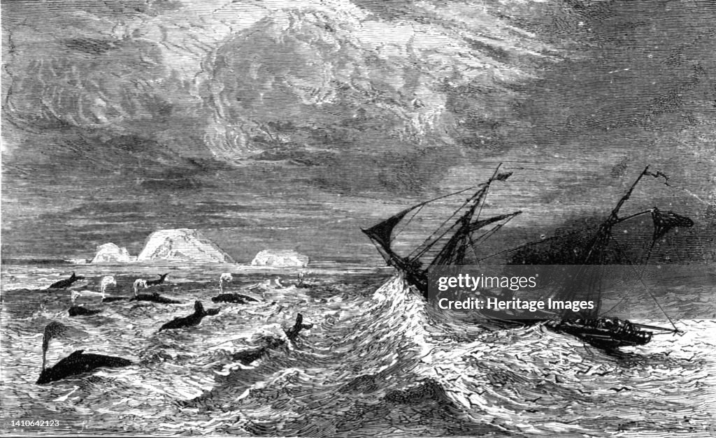 In The Midst Of Leviathan.; A Boat Adventure In The Behrings Sea, 187