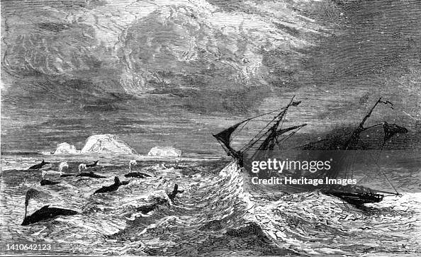 In The Midst Of Leviathan.; A Boat Adventure In The Behrings Sea, 187 In The Midst Of Leviathan.; A Boat Adventure In The Behrings Sea, 187