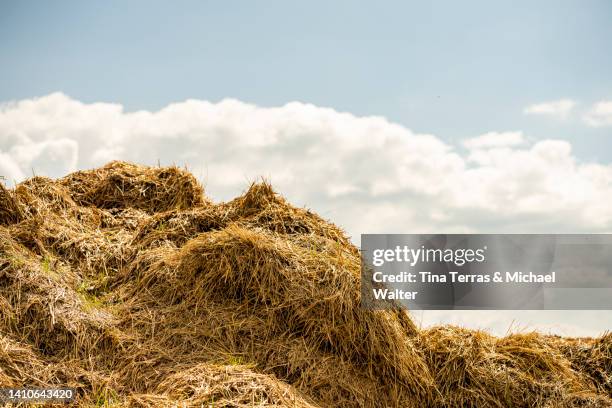 a dung pile against the  cloudy sky. - hay stock pictures, royalty-free photos & images