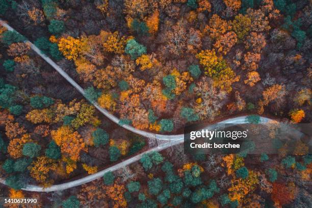 herbst road - road intersection stock-fotos und bilder