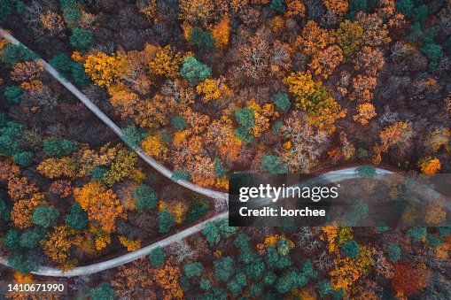 Autumn Road Autumn Road