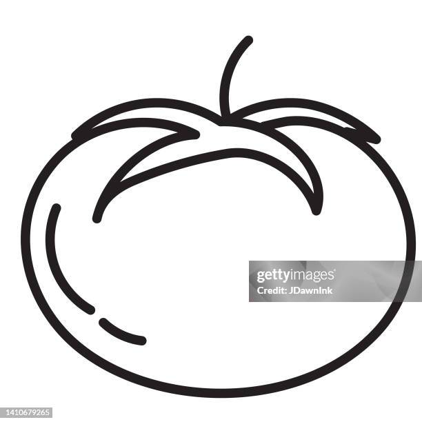 ilustraciones, imágenes clip art, dibujos animados e iconos de stock de icono de línea delgada de tomate de fruta fresca entero y en rodajas - trazo editable - tomate