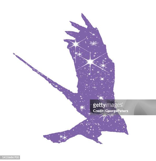 multiple exposure of a flying bird and stars - astronomy bird stock illustrations