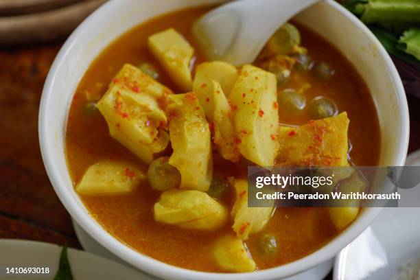 southern yellow thai curry with fish, ryukyu giant catfish roe and durian. - sopa de curry - fotografias e filmes do acervo