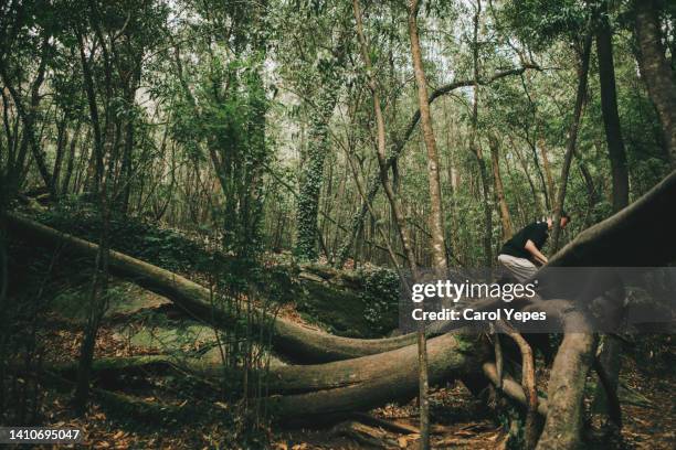 Tree Walkboy Boy Trunks Photos and Premium High Res Pictures - Getty Images