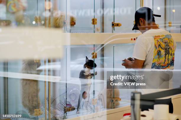 Man feeds a puppy in a pet shop on July 24, 2022 in New York. A bill banning the sale of dogs, cats and rabbits in New York pet stores awaits a...