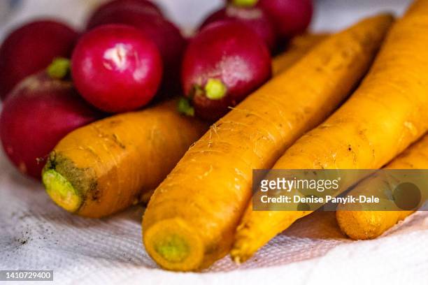 fresh vegetables from farmers market - panyik-dale stock pictures, royalty-free photos & images
