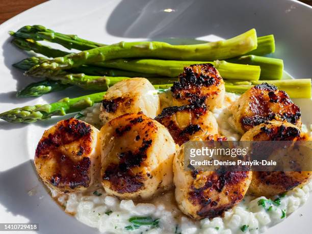 scallops on risotto with asparagus - panyik-dale stock pictures, royalty-free photos & images