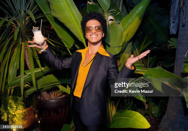 Co-Owner of SelvaRey Rum Bruno Mars attends the SelvaRey Pina Colada Party Hosted by Bruno Mars & Anderson .Paak at The Hollywood Roosevelt on July...