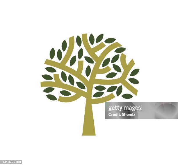 olive tree - olive tree stock illustrations