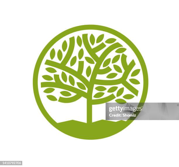 tree with leaves icon - portrait minimal background stock illustrations