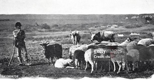 24 Sheep And Shepherd Cartoon Photos and Premium High Res Pictures - Getty  Images