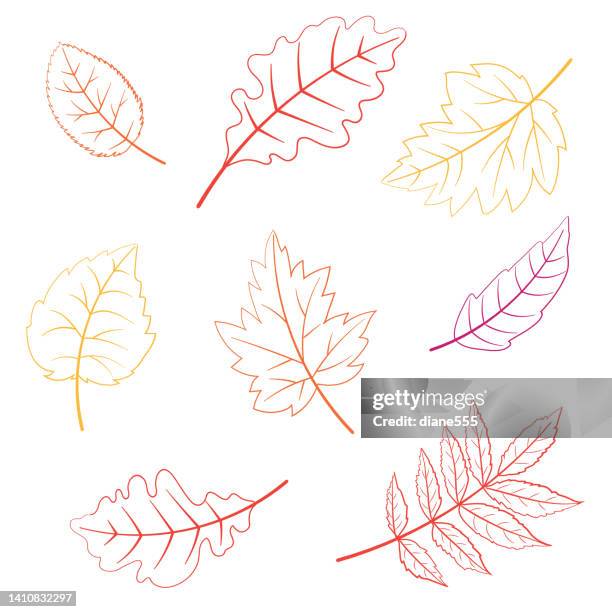 Fall Leaves Outline