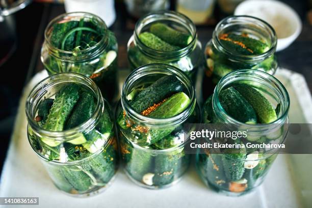 glass jars with young cucumbers and brine. preparation of a delicacy for the winter - pickled stock pictures, royalty-free photos & images