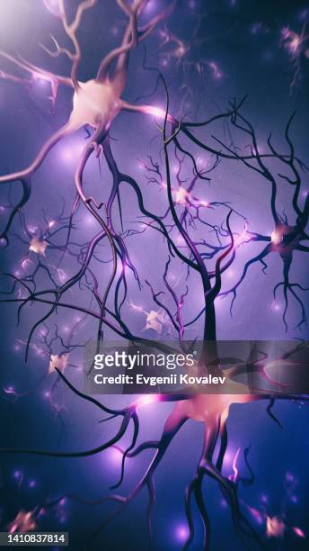 visualizzazione di neuroni e rete neurale con segnali - nervous system foto e immagini stock