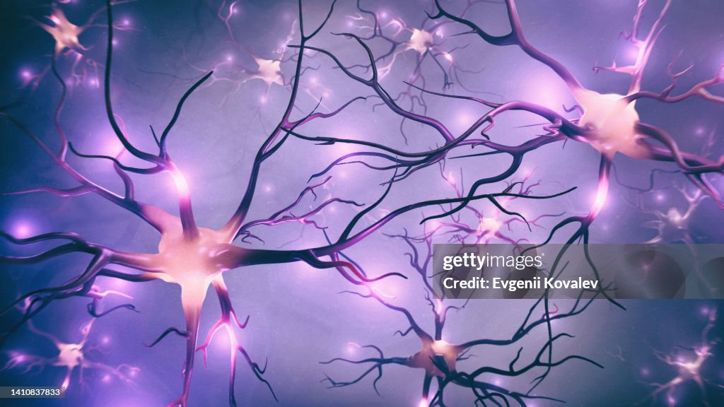 Visualization of neurons and neural network with signals