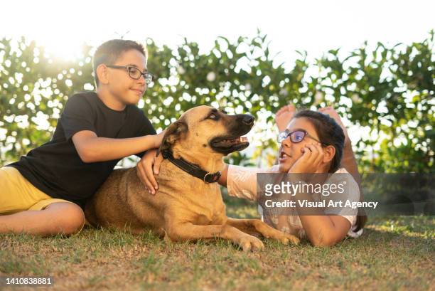 ein junge und ein mädchen streicheln den hund horizontal foto - pet adoption stock-fotos und bilder