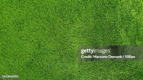 Green artificial grass for the floor Green artificial grass for the floor