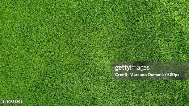 green artificial grass for the floor - football field above photos et images de collection