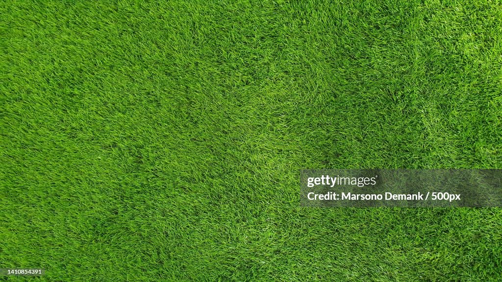 Green artificial grass for the floor