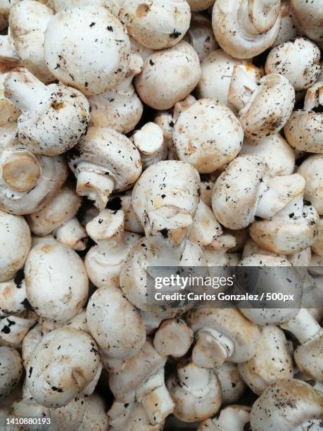 full frame shot of mushrooms - white mushroom stock pictures, royalty-free photos & images