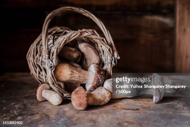 white mushroom frozen in a basket rustic style dark wooden table - porcini mushroom stock pictures, royalty-free photos & images