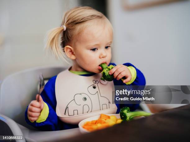 cute toddler girl with pigtails eating broccoli at a table at home. - baby eating vegetables stock pictures, royalty-free photos & images