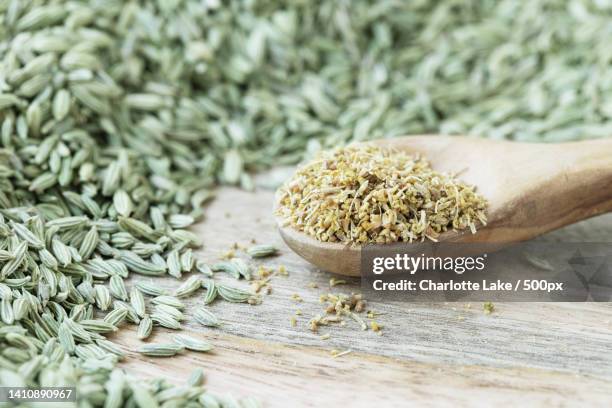 close-up of cumin seeds in wooden spoon on table - fennel stock pictures, royalty-free photos & images
