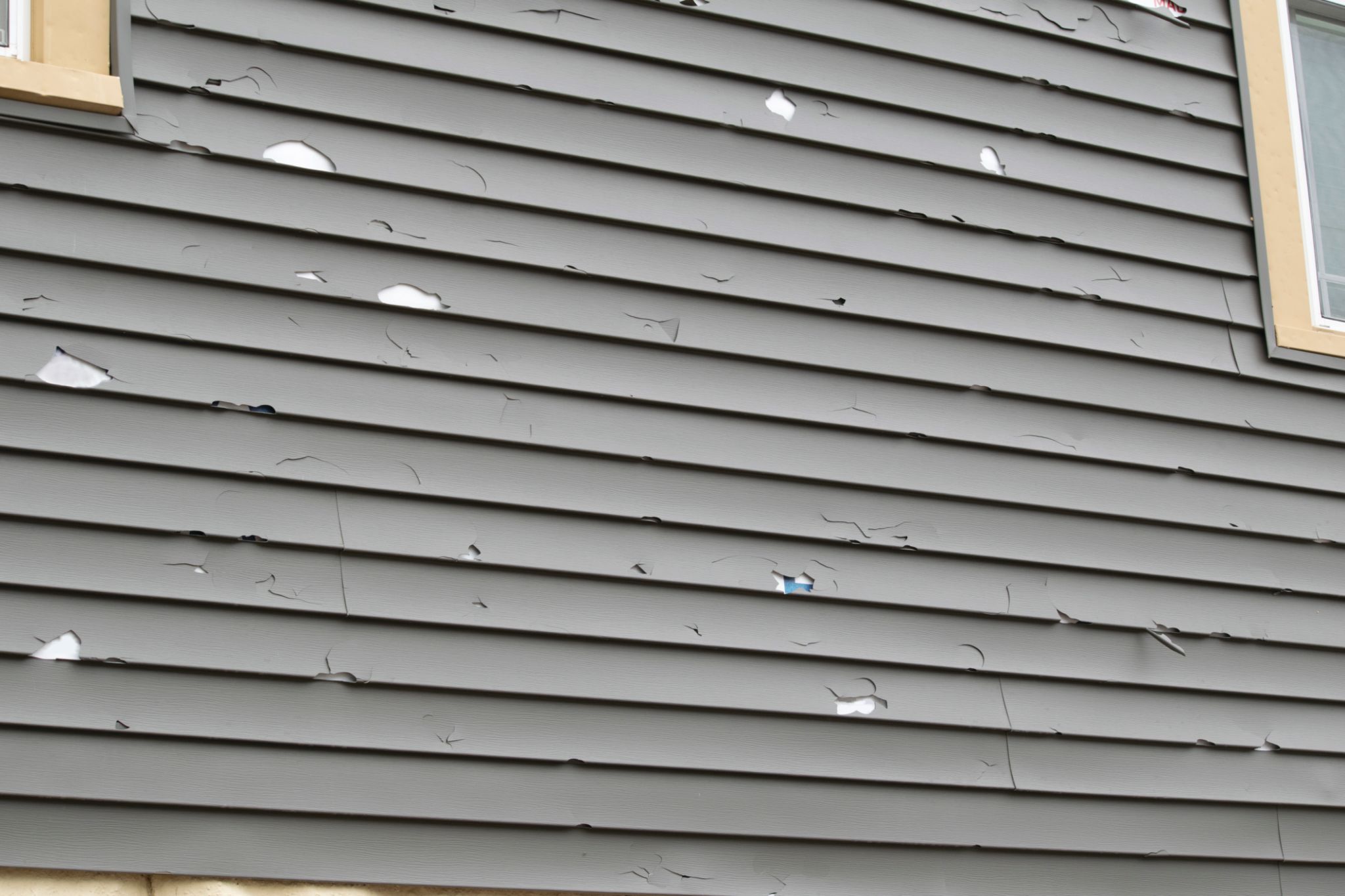 Home Exterior in Disrepair Home Exterior in Disrepair