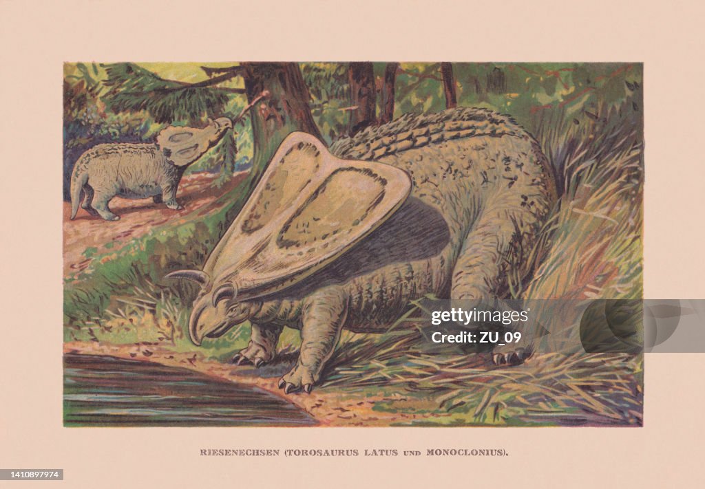 Torosaurus and Monoclonius, Cretaceous period, chromolithograph, published in 1900