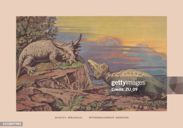 ilustraciones, imágenes clip art, dibujos animados e iconos de stock de elginia mirabilis e hyperodapedon gordoni, cromolitografía, publicada en 1900 - animal extinto