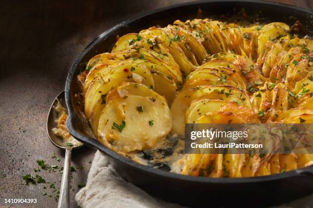 cheese and herb potato gratin - aardappelgratin aardappel stockfoto's en -beelden