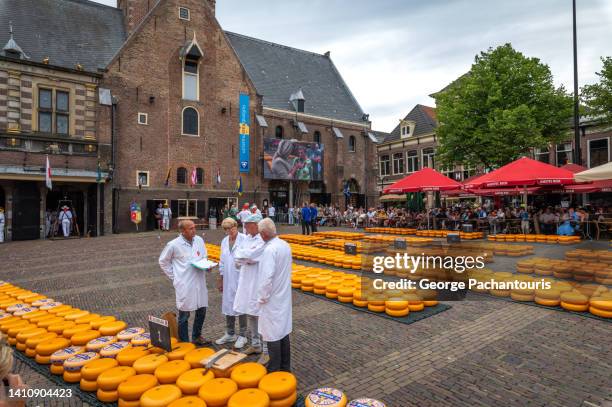 merchants and producers in the cheese market in alkmaar, holland - cheese production in netherlands stock pictures, royalty-free photos & images