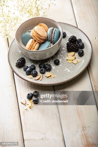 macaron blueberry and vanilla cookies sweet pastry with berries stock photo - blue plate stock pictures, royalty-free photos & images