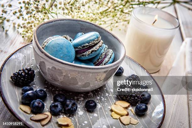 macaron blueberry and vanilla cookies sweet pastry with berries stock photo - blue plate stock pictures, royalty-free photos & images