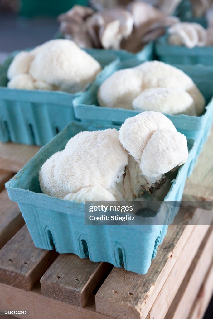 Lion's mane mushrooms at a farmer's market