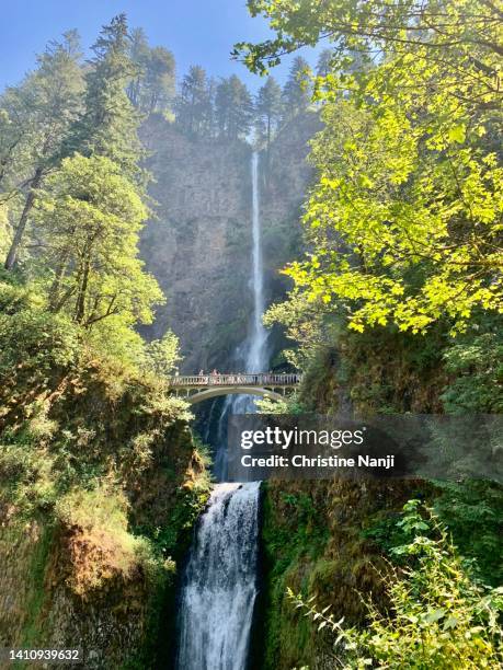 columbia river gorge highlights - columbia gorge ストックフォトと画像