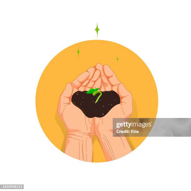 holding  green  sprouts in cupped hands. - bean sprouting stock illustrations