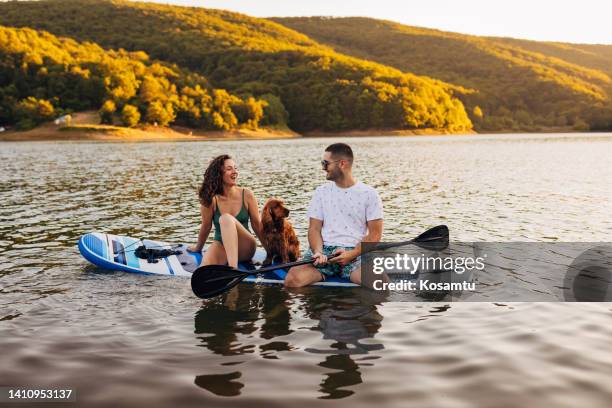 joven pareja amorosa divirtiéndose mientras rema en una tabla de paddle en el lago - cocker fotografías e imágenes de stock