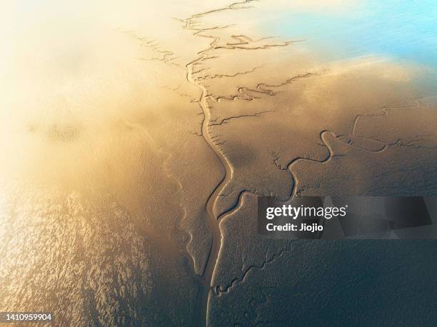 natural pattern at beach - beach bird's eye perspective stock pictures, royalty-free photos & images