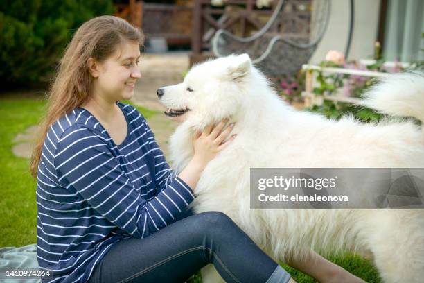 young woman with samoyed  dog outdoors - samoyed stock pictures, royalty-free photos & images