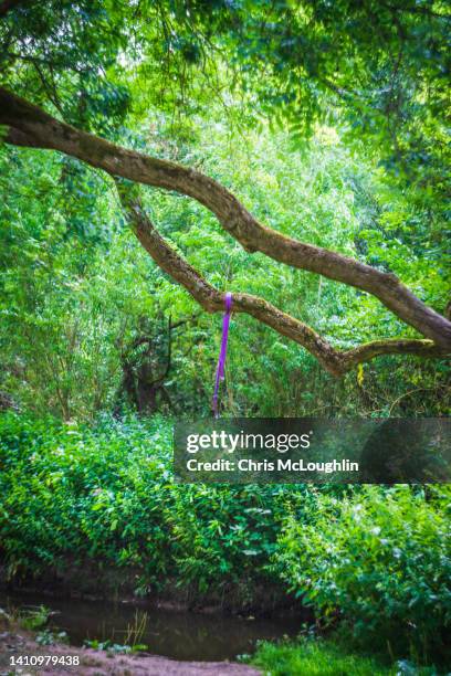 Sensory Path Rope 109 Sensory Path Kids Stock Photos, High-Res Pictures, and Images ...