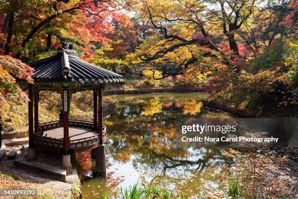 pavilion and autumn foliage - changdeokgung palace stock pictures, royalty-free photos & images