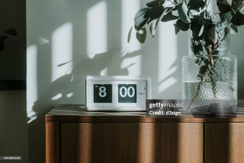 A white digital flip clock shows eight o'clock on a brown wooden cabinet next to fresh eucalyptus plant in the living room, with sunbeam shining through the window on a fresh beautiful morning. A brand new day, fresh start, fresh energy, new opportunities