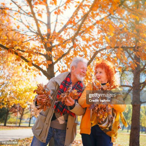 senior couple throwing leaves around - throwing leaves stock pictures, royalty-free photos & images