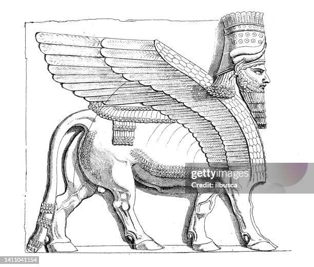 bildbanksillustrationer, clip art samt tecknat material och ikoner med antique illustration: assyrian art, nineveh winged bull - irak