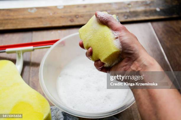 cleaning sponge - washing up liquid stock pictures, royalty-free photos & images